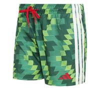 Bañador adidas Inspired Graphic 5" 2XL Male
