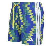 Bañador adidas Inspired Graphic 5" S Male