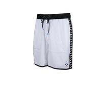 Bañador Arena Icons Team Stripe L