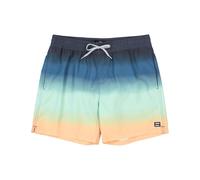 Bañador Billabong All Day Fade L Male