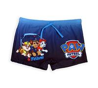 Bañador Infantil Personajes Paw Patrol - Patrulla Canina - Bañadores - Pawsome Team (FR/ES, Edad, 8 años, Regular, Multicolor)