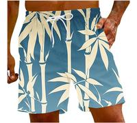 Bañador para hombre, diseño de elefante, vacaciones, para hombre, gráfico, baloncesto, pantalones cortos para hombre, traje de baño para hombre, arco iris, verde menta, 3XL