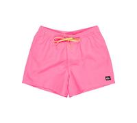 Bañador Quiksilver Everyday Volley 15 L