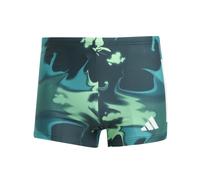 Bañadores adidas Graphic M