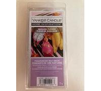 Banana Flower Cubs cera Yankee Candle