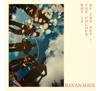 Bananagun - Why Is the Colour of the Sky? [Vinilo]