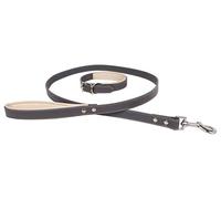 Banbury & Co - Juego de Collar y Correa para Perro