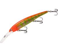 Band-It BDTWBD2B25 Walleye Deep Peacock, 4 3/4 Pulgadas