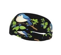 Banda de sudor decorativa deportiva de moda YYHWHJDE Bird escalada arándanos patrón Diademas para hombres y mujeres