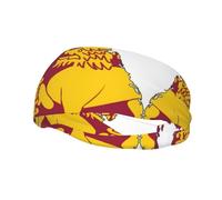 Banda deportiva con estampado de mapa de la bandera de Sri Lanka para hombres y mujeres, banda deportiva para tenis, baloncesto, correr, gimnasio