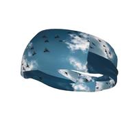 Banda deportiva de moda para el sudor WHJSHOP Birds of Prey in the Blue Sky Printed Diademas que absorben el sudor para hombres y mujeres