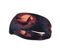 Banda deportiva decorativa para el sudor YYHWHJDE Bats in the Dark Pattern Diademas para hombres y mujeres