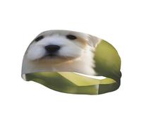 Banda deportiva decorativa para el sudor YYHWHJDE con bonito patrón de cachorro maltés para hombres y mujeres