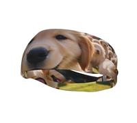 Banda deportiva decorativa para el sudor YYHWHJDE con diseño de cachorros de golden retriever para hombres y mujeres