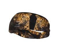 Banda deportiva decorativa para el sudor YYHWHJDE The Deep Eyed Leopard Pattern Diademas para hombres y mujeres