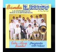 Banda El Recodo - Pegando Con Tubo [Import]