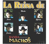 Banda Machos - Reina De Las Bandas