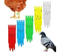 Banda Para Pata Pollo Anilla Numerada de Identificación del Pie de Aves de | Bandas Numeradas de Patas Para Granja Casa Patio Hogar Gallina y Gallo Pintada