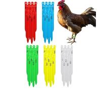 Banda Para Pata Pollo Podal Multicolor Numerado Identificación Aves de | Bandas Numeradas de Patas Para Granja Casa Patio Hogar Gallina y Gallo Pintada