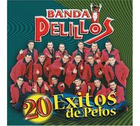 Banda Pelillos - 20 Exitos De Pelos