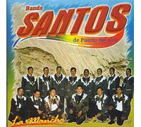 Banda Santos De Puerto Del Aire Tejupilco Mexico (La Mancha - Y Puro Tierra Caliente 2140)