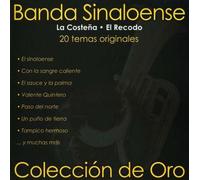 Banda Sinaloense - Coleccion De Oro 20 Temas Originales