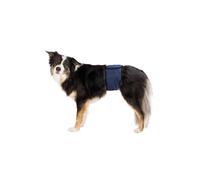 Banda Trixie para perros machos con incontinencia | XL