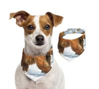 Bandana de algodón de doble cara para cumpleaños de perro, lavable, diseño de osos de peluche que caminan en la nieve, baberos para perros pequeños, medianos y grandes, unisex, para perros, gatos