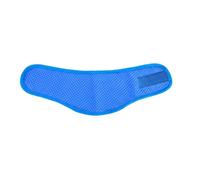 Bandana de refrigeración para perros, bufanda de enfriamiento para mascotas, cuello de enfriamiento instantáneo para perros, transpirable, ajustable, para razas pequeñas, medianas y grandes, aventuras