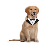 Bandana para Perros 1 Pieza, Bandana NavideñA para Perros, Adecuado para Bodas, Fiestas CumpleañOs, Exposiciones De Mascotas, Navidad, DíA De San ValentíN Y Otras Ocasiones Formales (M)