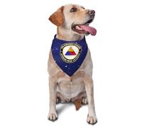 Bandanas De Perros Veteran De La 7.ª División Blindada En La Guerra De Corea Bufandas Accesorio Ajustable Toallas Triángulo, para Mascotas para Perros Pequeños Y Grandes, Gatos, 70x30cm