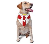 Bandanas para mascotas con estampado de bandera de Irlanda del Norte, bonitas bufandas para perros y gatos, para vacaciones, Navidad, Halloween, baberos triangulares ajustables para caminar al aire