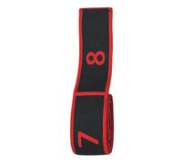 Bandas De Resistencia Numeradas - Bandas Elásticas Elásticas De 8 Secciones Para Yoga Y Pilates | Fàasce Fitness Mejoradas Con Asanas Claras | Entrenamiento Corporal Completo Para Mujeres Hombres