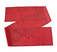 Bandas de resistencia para ejercicio y fitness Theraband, Red (Medium), 2,5 m