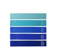 Bandas Elasticas 5 Bandas elásticas de Resistencia for Ejercicios Yoga, Deporte, Fitness, Diferentes Niveles, Accesorios Goma for Gimnasio y Entrenamiento en casa(Blue)