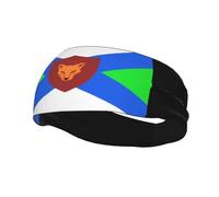 Bandas para el pelo con la bandera de Fox River Grove, Illinois, para hombre y mujer, antideslizantes, absorbentes, para gimnasio, baloncesto, yoga