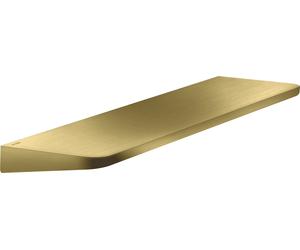 Bandeja circular universal AXOR de hansgrohe, 42844950, Color: Latón cepillado