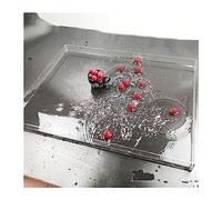 Bandeja de acrílico para fotografía, Tamaños múltiples de acrílico del claro almacenamiento la exhibición fotografía tanque agua(40x40x10cm/15.7x11.8x3.94in)