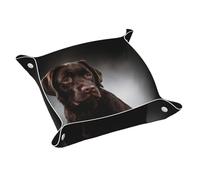 Bandeja de Almacenamiento de Cuero, Bandeja organizadora de Joyas, Bandeja de Almacenamiento de Escritorio, Bandeja de Almacenamiento de artículos Diversos, Labrador Retriever