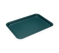 Bandeja de Aperitivos Versa Azul Polietileno RPET 27 x 2,2 x 38 cm - Marca: Versa - EAN: 8420327572240