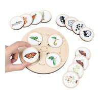 Bandeja De Ciclo De Vida - Ranuras Redondas Empotradas, Unidad De Observación Del Crecimiento Sensorial, Kit De Cognición Sostenible De Madera, Recurso De Estudio Práctico De La Naturaleza | Equipo