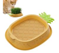 Bandeja de hierba para gatos, bandejas de germinación para brotes, bandejas de plántulas y germinación con diseño de piña, maceta de pasto de trigo, sin tierra, planta de gato para gatos de interior