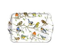 Bandeja de melamina con diseño de pájaros, 13 x 21 cm, para decoración del hogar, pájaros, primavera, ramas, petirrojos, verano