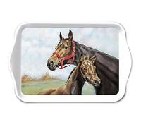 Bandeja de melamina de 13 x 21 cm, diseño de caballos, para decorar y servir, pequeña bandeja para servir café, té, desayuno, decoración de mesa, granja, animales, equitación, bandeja decorativa rural