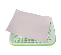 Bandeja de plástico Microgreens de dos capas con malla blanca verde 33 x 26 x 5 cm, incluye 10 hojas de papel aptas para principiantes y avanzados