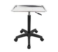 Bandeja de salón suave Bandeja de tatuaje multifuncional Instrumento de carro para peluquería para salón de uñas(tray, 10)