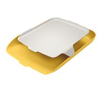 Leitz - Bandeja para cartas y organizador, color amarillo cálido