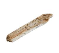 Bandeja de Té de Kung Fu Bandeja de té fósil de Madera Entera Natural, Piedra for el hogar, mar, Arte Simple, Mesa de té de Piedra Bandeja de Té para Mesa de té para el Hogar