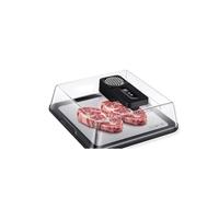 Bandeja eléctrica de descongelación de alimentos, caja de descongelación rápida para carne congelada, 4.2 L de gran capacidad, descongelación rápida de 10 minutos con temporizador inteligente, diseño