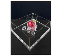 Bandeja for fotografía, tanque de agua de acrílico transparente, bandeja for accesorios fotográficos, caja de exhibición for tanque de agua, almacenamiento portátil de alimentos y cosméticos.(50x30x10